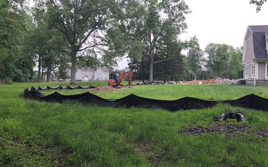 Rain Garden
