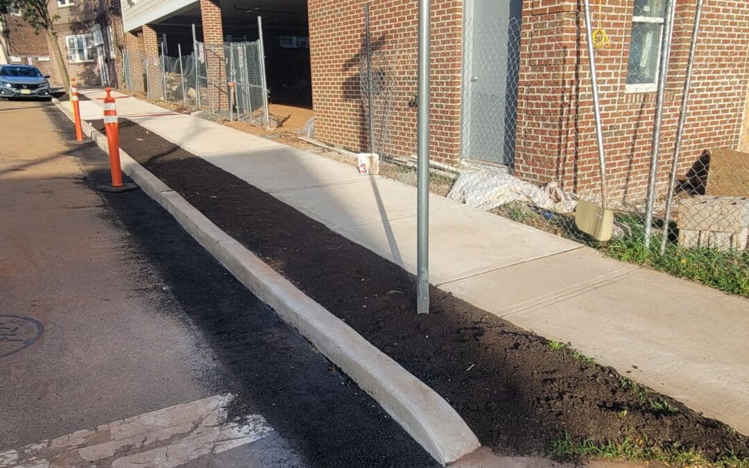Sidewalk Replacement